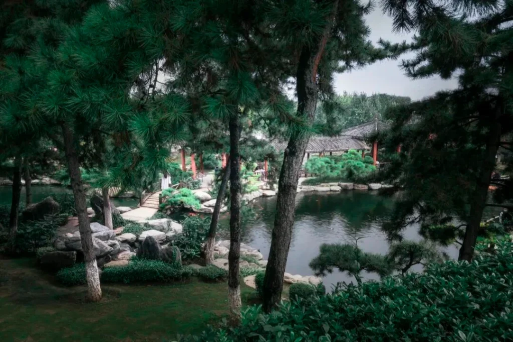 China Tang Garden — The World of Bonsai Art in Xian Trip